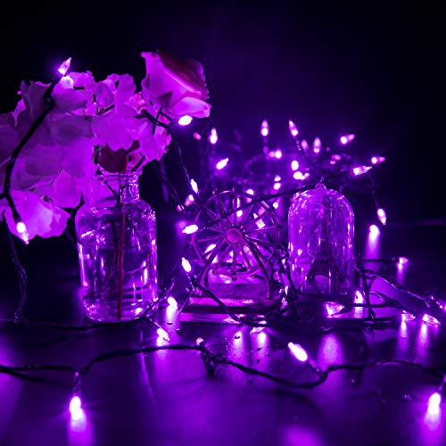 Halloween String Lights Outdoor (98 Foot)