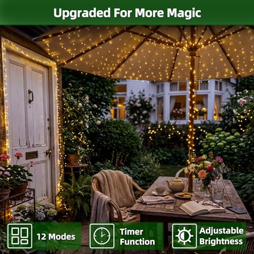 300 LED 75FT Christmas String Lights Indoor Outdoor (75 Foot)