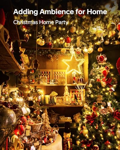 20 Pack Fairy Lights Battery Operated (20 Count)