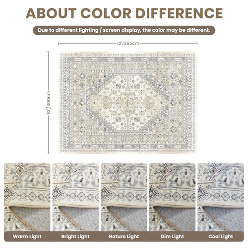 10x12 Area Rugs for Living Room