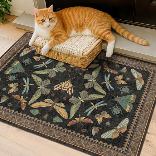 Small Black Entryway Runner Rug (8 Sq Ft)