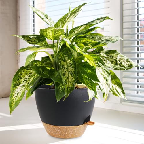 10/9/8 inch Self Watering Pots for Indoor Outdoor Plants, Set of 3 (3 Count)