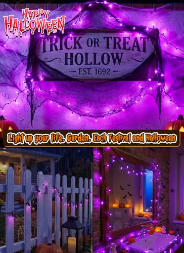 Purple Halloween Mini Lights