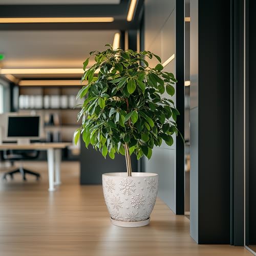 Ceramic Planter