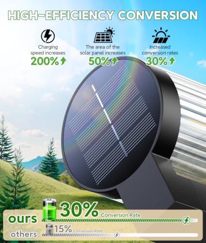 Solar Pathway Lights Outdoor (2 Count)