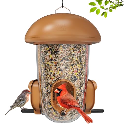 LONA Bird Feeder with 3 Compartments