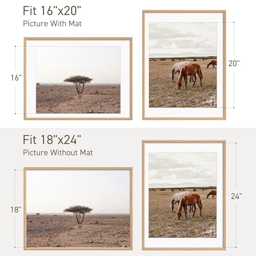 18x24 Poster Frame Set of 4 Natural Solid Oak Photo Frames with 16x20 Removable Mat Wall Hanging Large Handcrafted Frame with HD Plexiglass Wall and Tabletop Display Large Picture Frame (4 Count)