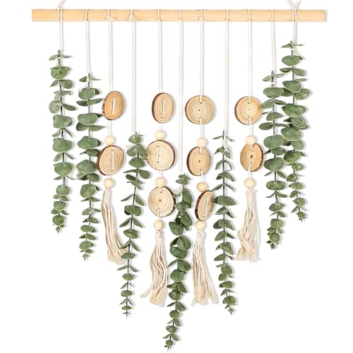 Artificial Eucalyptus Wall Decor Fake Greenery Leaves Stems Home Decor Wall Hanging Plants Boho Rustic Farmhouse Decor for Bedroom Kitchen Dining Room Livingroom Bathroom Livingroom