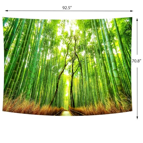 Forest Pathway Tapestry Sunset Tropical Rainforest Nature Tree Tapestry Wall Hanging Sunrise Scenic Natural Green Landscape Headboard for Bedroom Living Room Home Decor