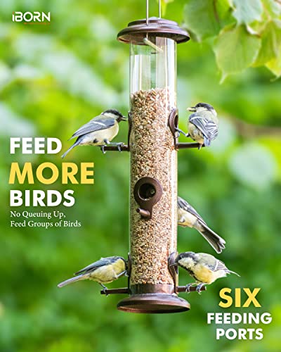 Bird Feeders for Outdoors 15" 6 Ports Chew (2 Count)