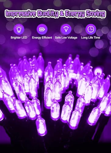 Purple Battery Operated Christmas String Lights with Timer