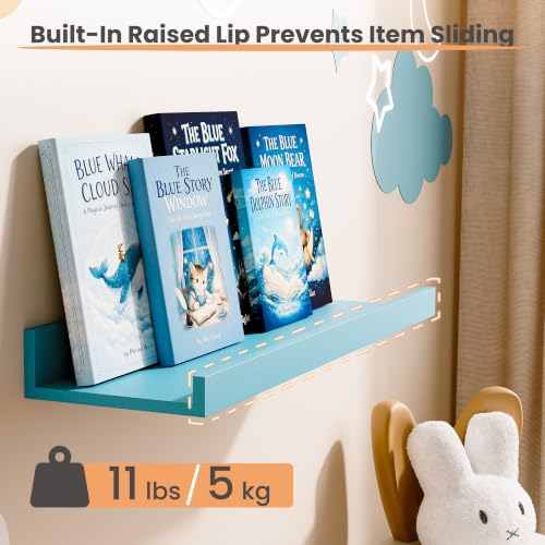 Floating Shelves for Wall Decor Storage (6 Count)