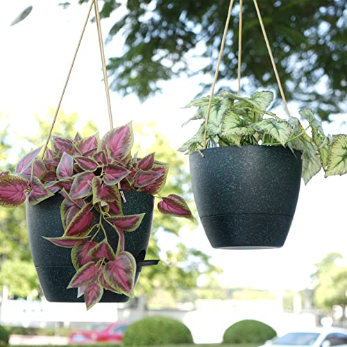 10 Inch Self Watering Hanging Pots (2 Count)