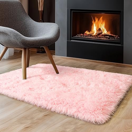 Pink Super Soft Rug for Girls Bedroom 2x3 Feet