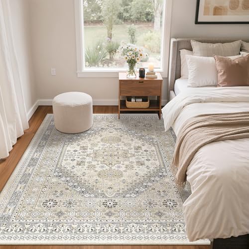 4x6 Area Rug for Entryway
