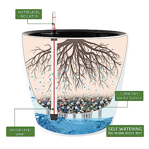 15x14 Self Watering Planter with Wheels