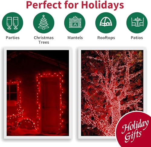 60LED Red Valentine Lights (60 Count)