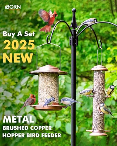 Metal Bird Feeders for Outdoors