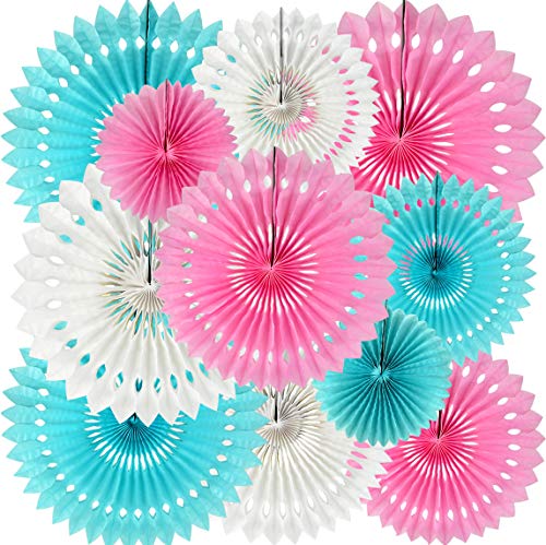 Honeycomb Round Paper Fans Blue Pink Hanging Party Decoration (11 Count)
