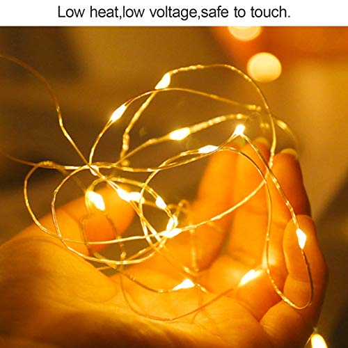 Battery Operated Fairy String Lights (26 Foot)