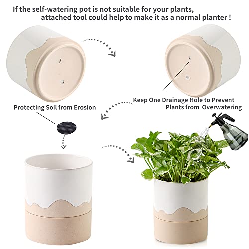 Ceramic Self Watering Plant Pot for Indoor Plants