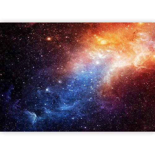 Wall Mural Wallpaper (4 Count)