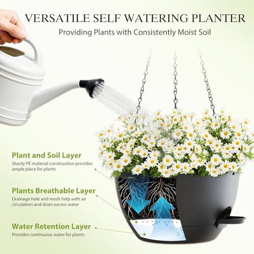 10 Inch Hanging Baskets 2 PC with Chains (2 Count)
