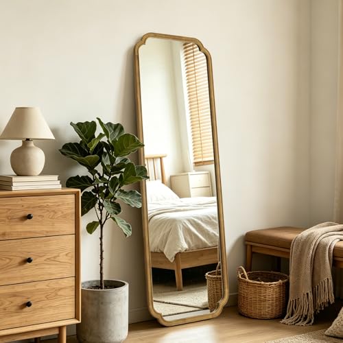 Full Length Mirror Wall Mounted 65"x22"