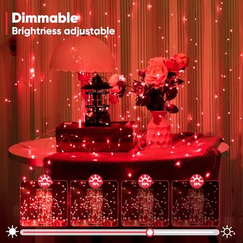 4 Pack 65.6 Ft. Battery Operated Outdoor String Lights with Remote & Timer (4 Count)