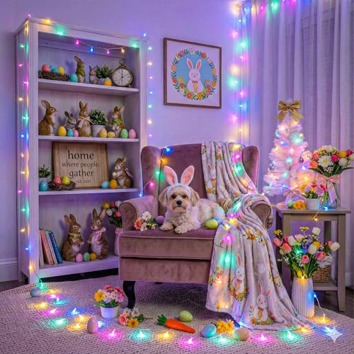262FT 800 LED String Lights Indoor