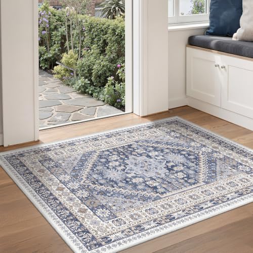 3x4 Rugs for Entryway (12 Sq Ft)