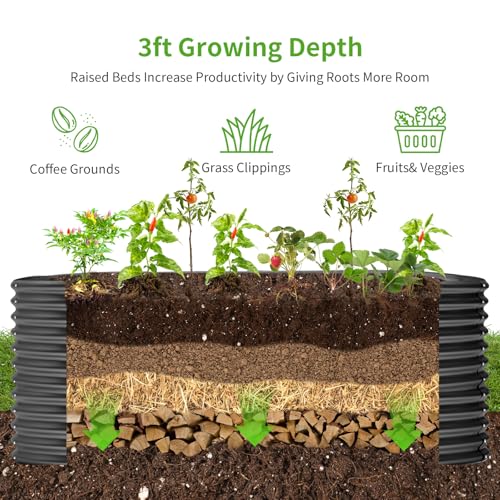 8x4x3ft Oval Galvanized Raised Garden Beds