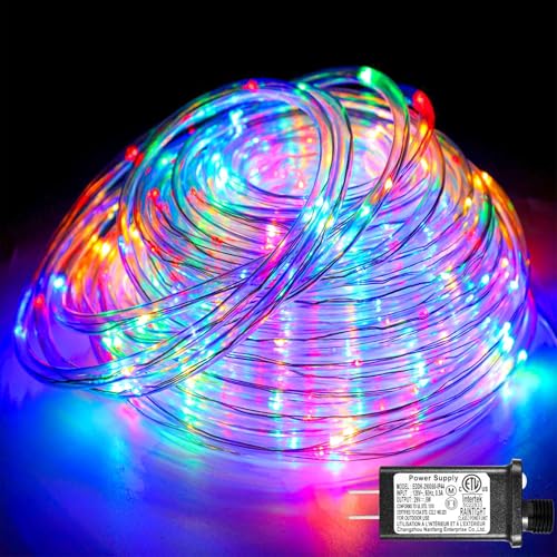 66FT 200 LED Rope Lights for Outside