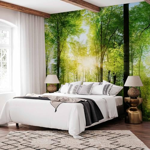 Peel and Stick Wall Mural (144.27 Sq Ft)