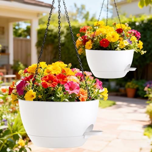 10 Inch Hanging Baskets 2 PC with Chains (2 Count)