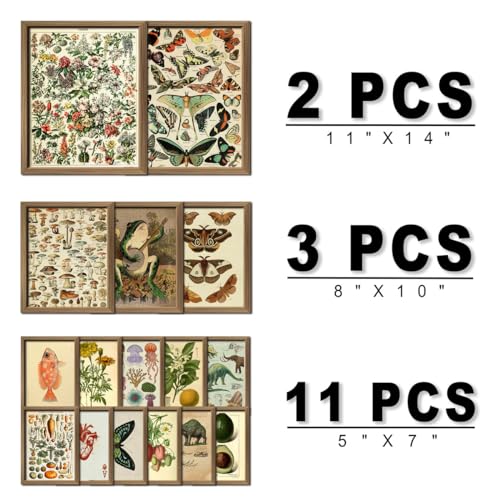 16 PCS Framed Vintage Wall Art Decor (16 Count)
