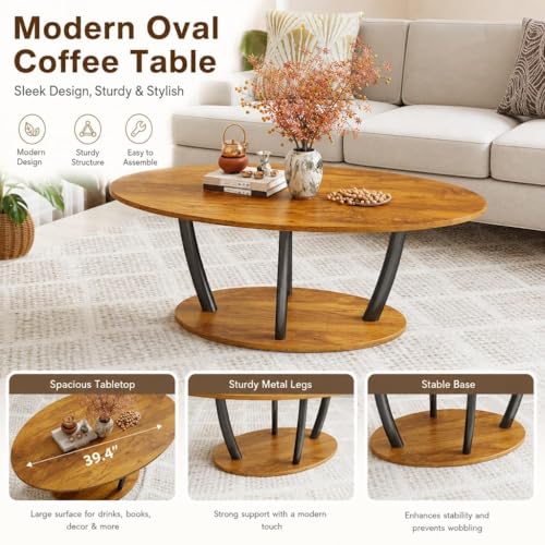 Rustic Oval Coffee Table with Storage Shelf
