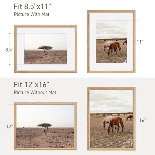 12x16 Picture Frame Set of 4 Natural Solid Oak Photo Frames with 8.5x11 Removable Mat Wall Hanging Large Handcrafted Frame with HD Plexiglass Wall and Tabletop Display Large Poster Frame (4 Count)
