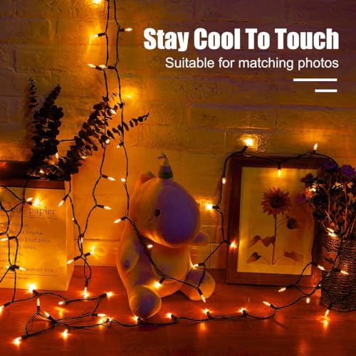 2Pack Orange Outdoor Halloween Lights