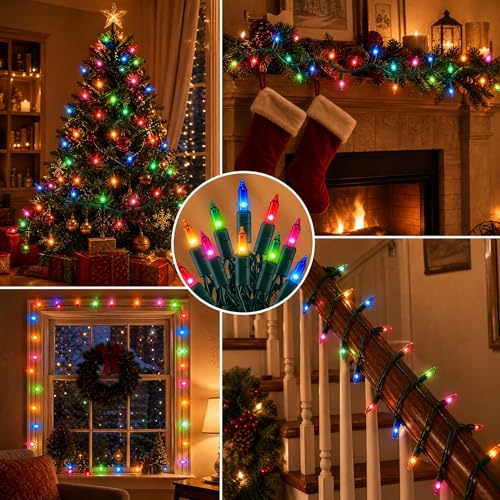 Outdoor Christmas Lights (20 Foot)