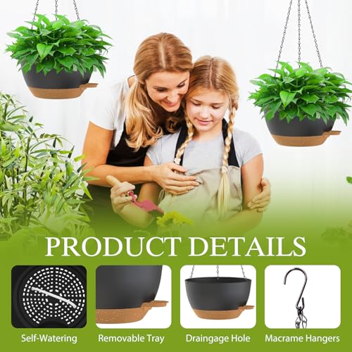 10 Inch Hanging Baskets 2 PC with Chains (2 Count)