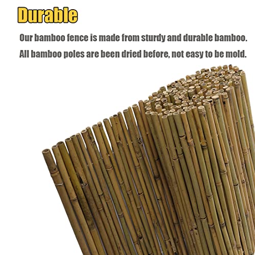 4Ft High x 6 Ft Long x 0.7In D Bamboo Screen (24 Sq Ft)