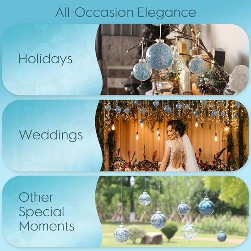 24 Pack Clear Christmas Ball Ornaments with Fillers (24 Count)