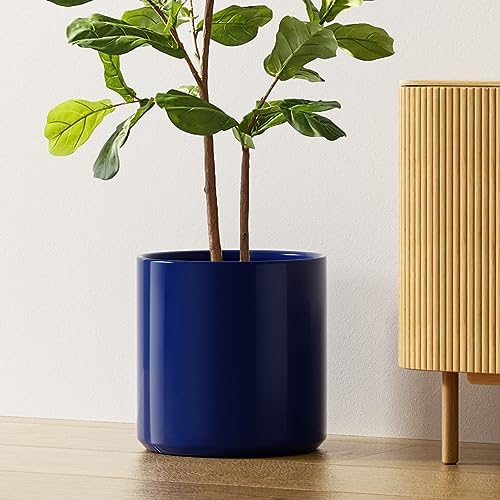 12 Inch Pot for Plants