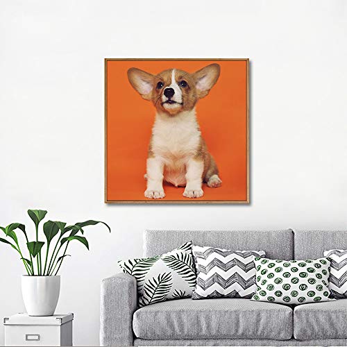 Custom Framed Canvas Prints with Your Photo for Pets