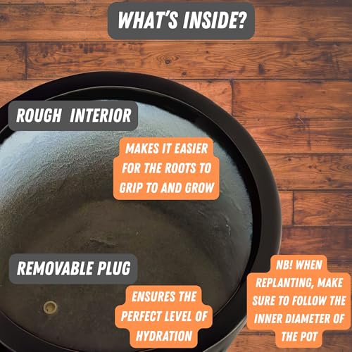 Large Planter for Indoor or Outdoor