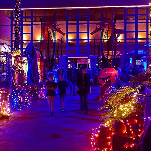 Halloween Fairy String Lights (20 Foot)