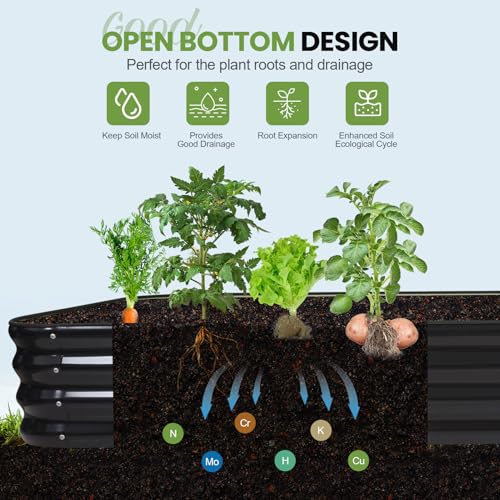 Raised Garden Beds Outdoor
