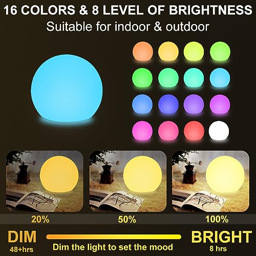 10 in LED Ball Light