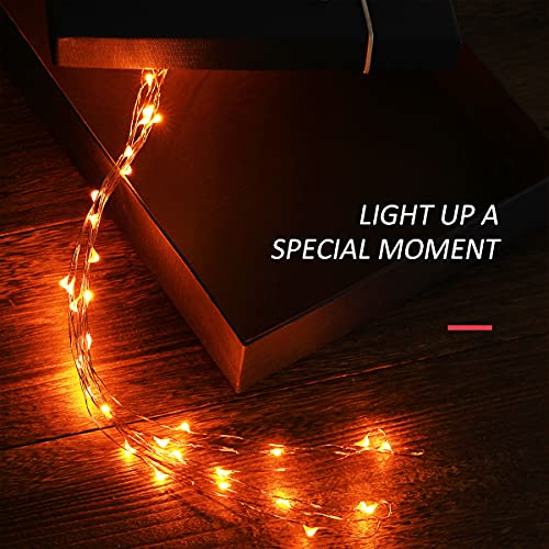 Mini Halloween Fairy Lights (2 Count)